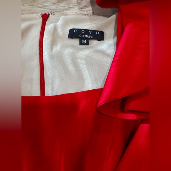 POSH COUTURE RUFFLE SLEEVE DRESS - Picture 5 of 5